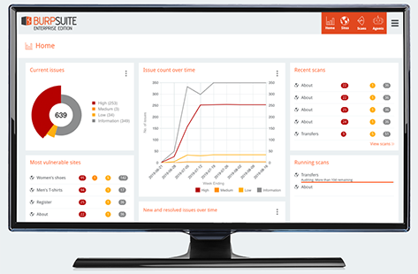 Burp Suite Enterprise Edition Monitor